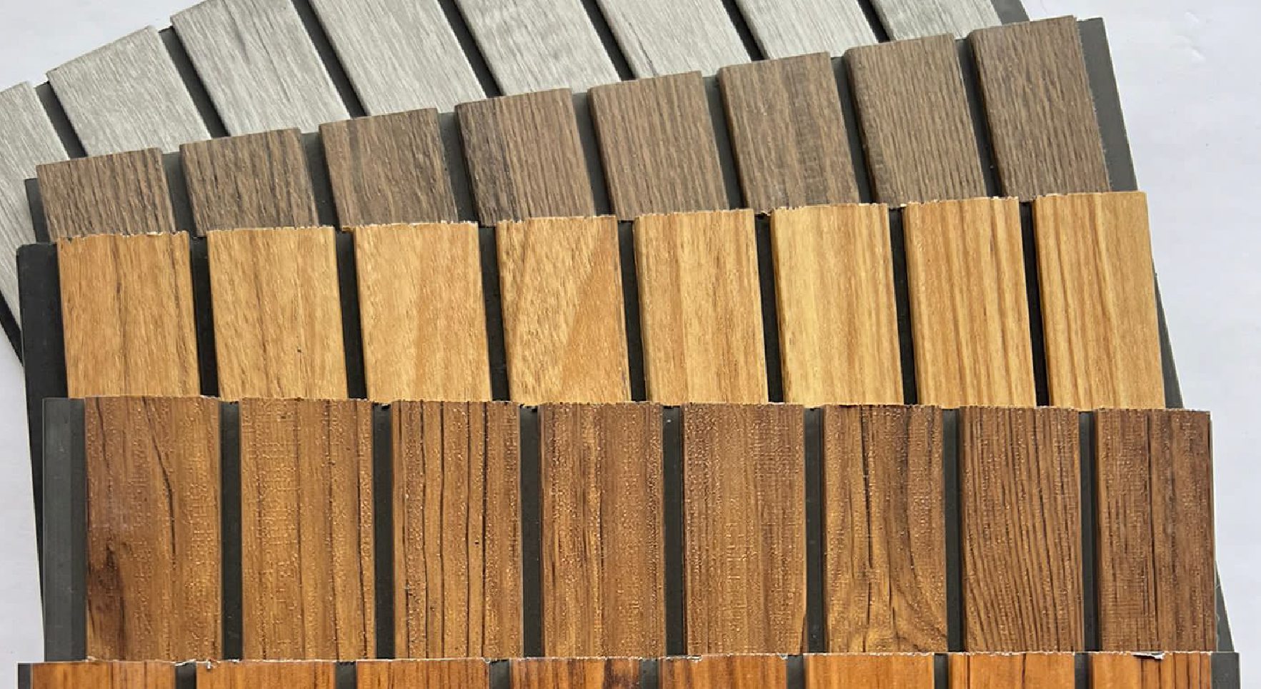 Partnering with us: The advantages of being our distributor